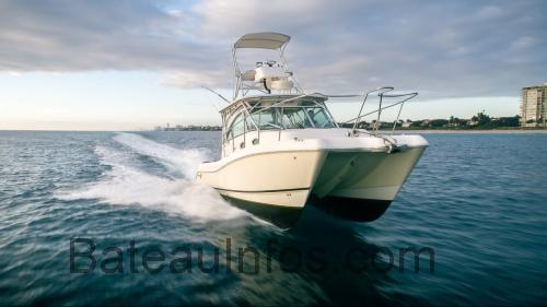 World Cat 320 EC fiche technique et avis